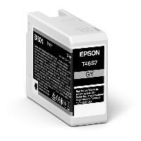 Epson Original Tintenpatrone grau C13T46S700